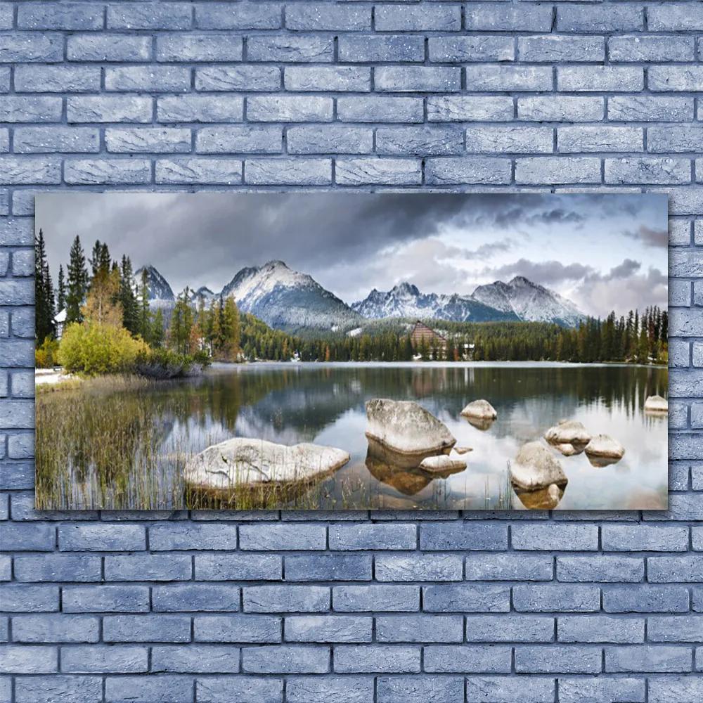 Obraz plexi Jazero hory les príroda 120x60 cm