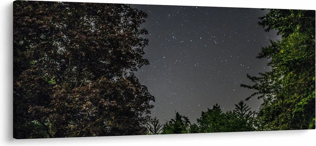 Obraz nočnej oblohy (120x50 cm)