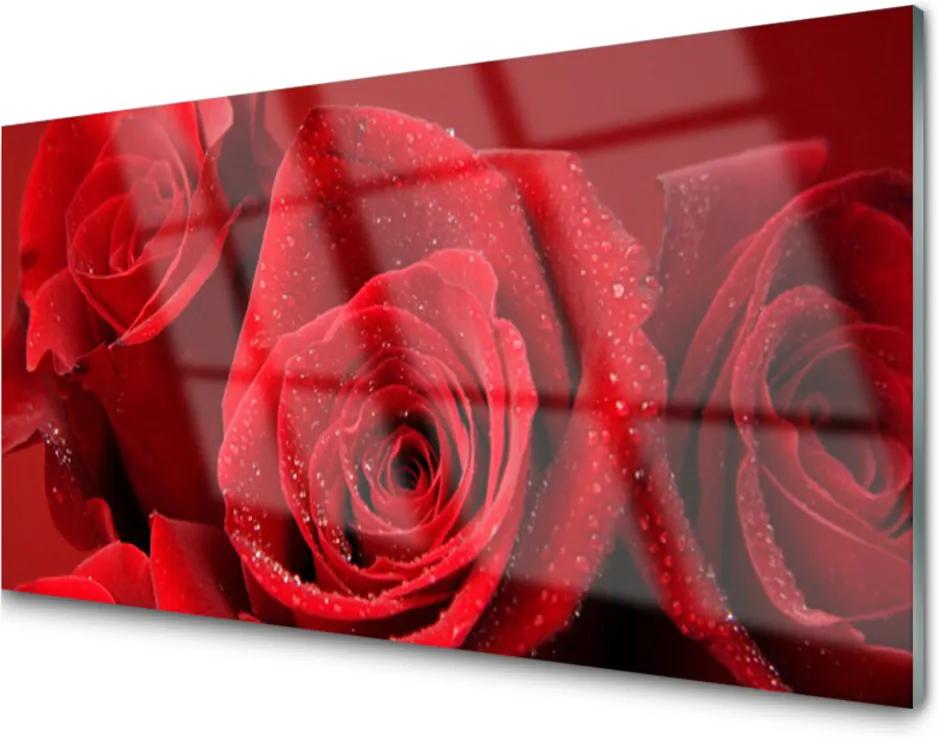 Obraz na akrylátovom skle Sklenený Ruže Kvety