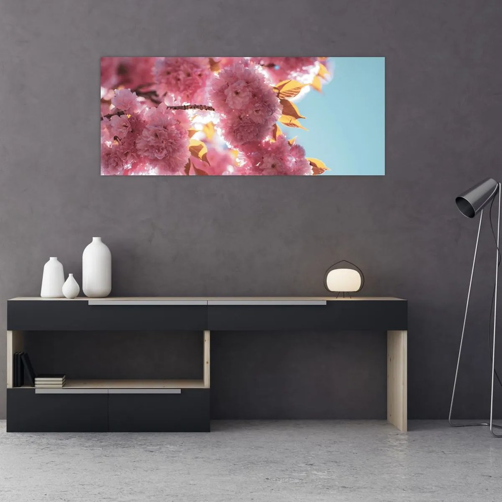 Obraz - Čerešňový kvet (120x50 cm)