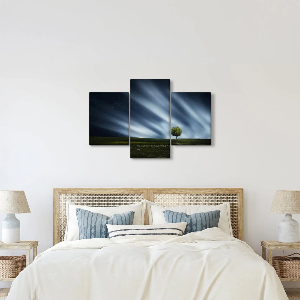 Obraz polárna žiara nad vresoviskom (90x60 cm)