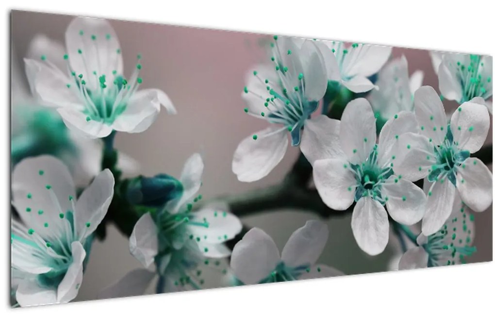Obraz kvetov - tyrkysové (120x50 cm)