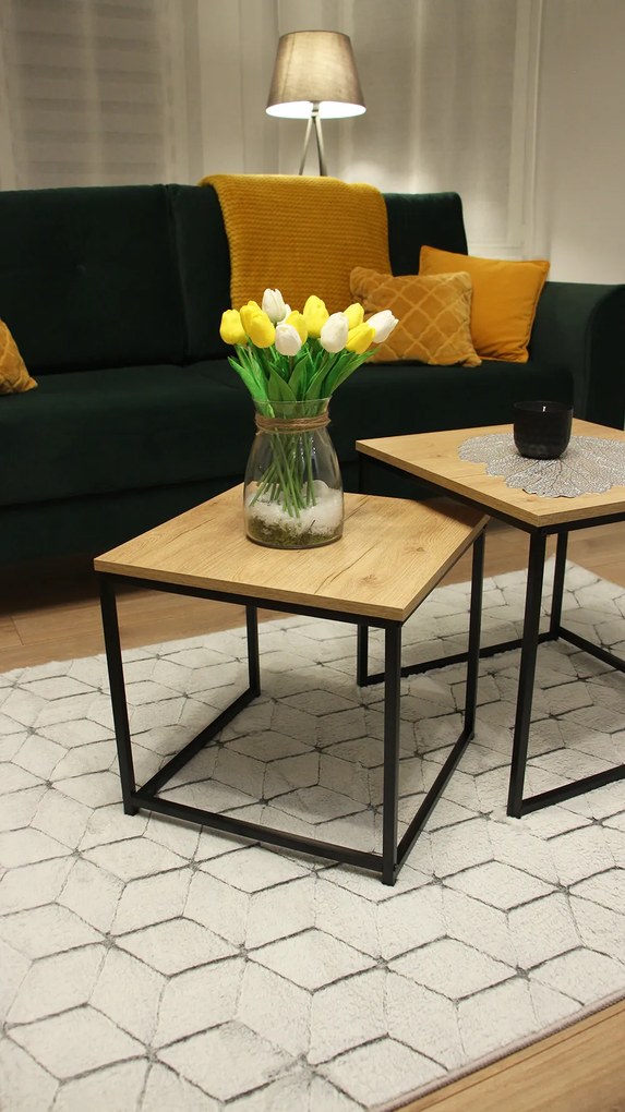 Koberec Rabbit 3D Carving GREY/WHITE 2 rozmery koberec: 80x140 cm