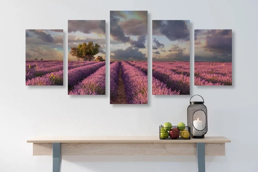 5-dielny obraz krajina levanduľových polí Varianta: 100x50