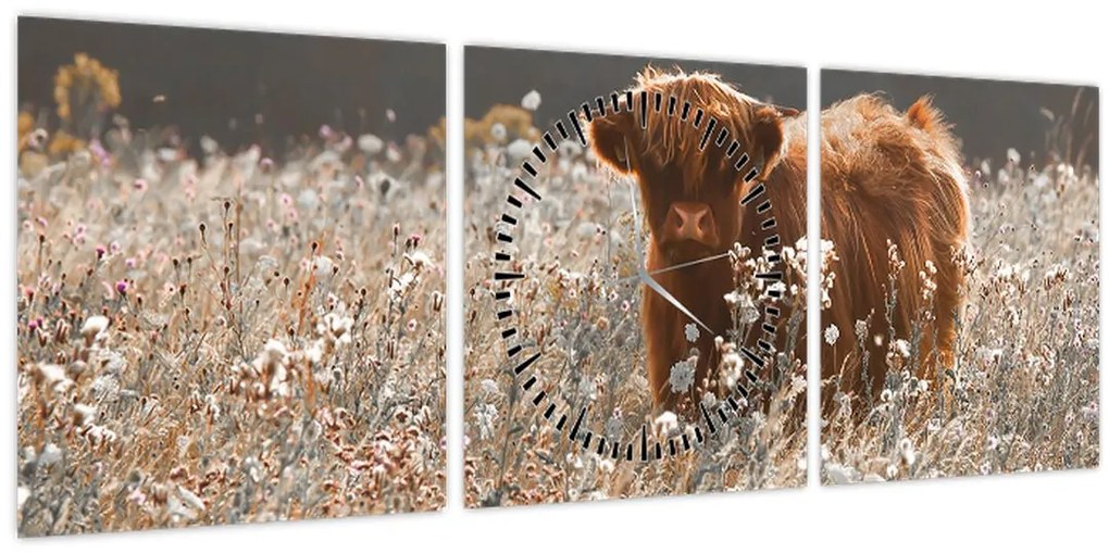 Obraz - Škótska krava v kvete (s hodinami) (90x30 cm)