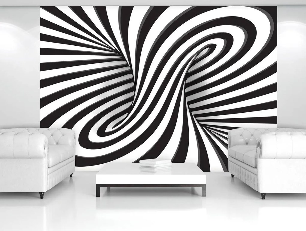 Fototapeta - Biele a čierne 3D krúženie (254x184 cm)