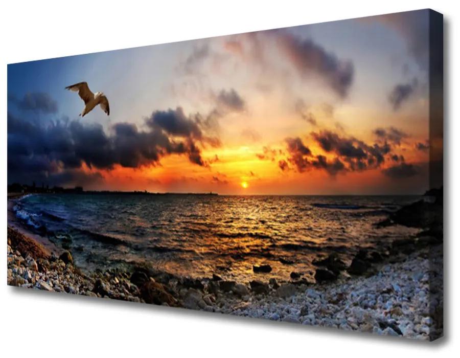 Obraz na plátne Čajka more pláž krajina 140x70cm