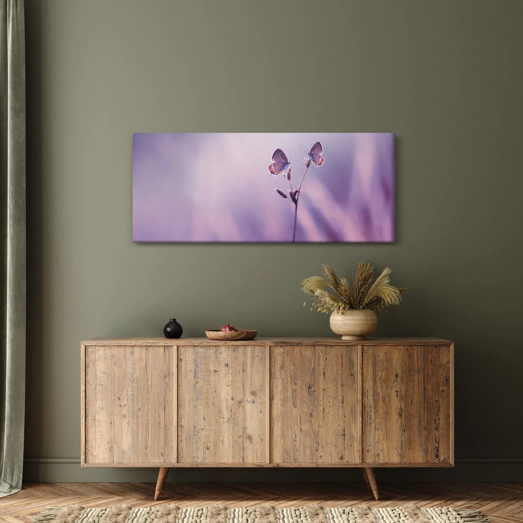 Obraz - Fialové motýliky (120x50 cm)
