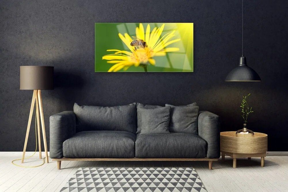 Skleneny obraz Osa kvet rastlina príroda 125x50 cm