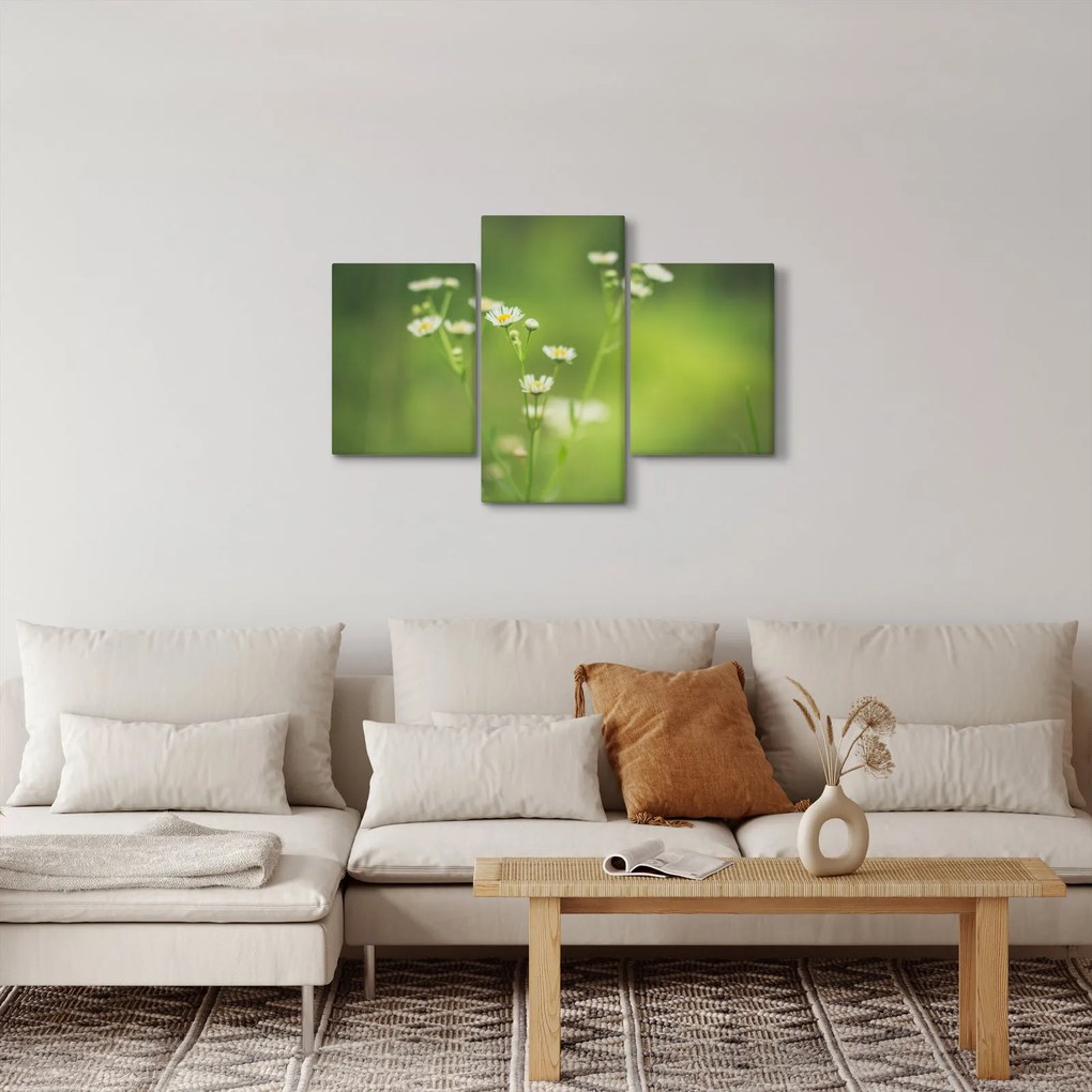 Obraz Sedmokrásky (90x60 cm)