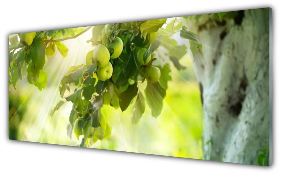 Obraz plexi Jablká vetva strom príroda 125x50 cm