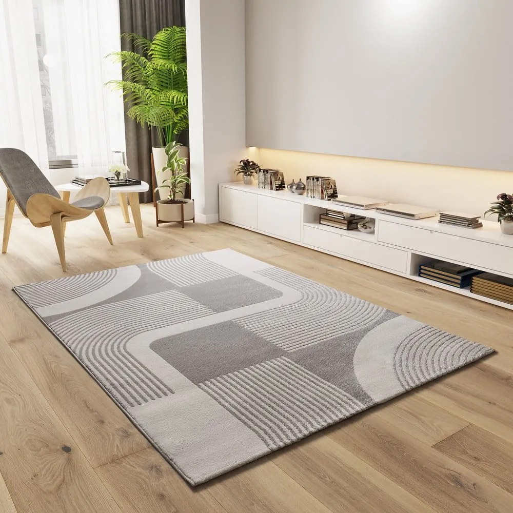 Koberec vo svetlosivej a slonovinovej farbe 160x230 cm Flora – Universal