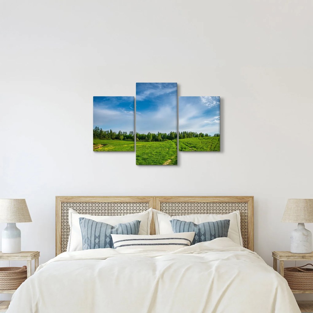 Obraz lúky (90x60 cm)