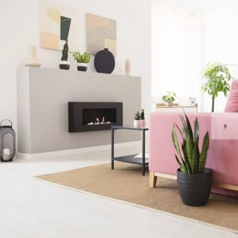 Biokrb na stenu Delta Box