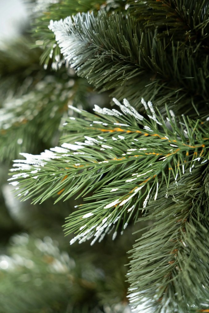 Limpol Vianočný stromček borovica Lamia 210 cm