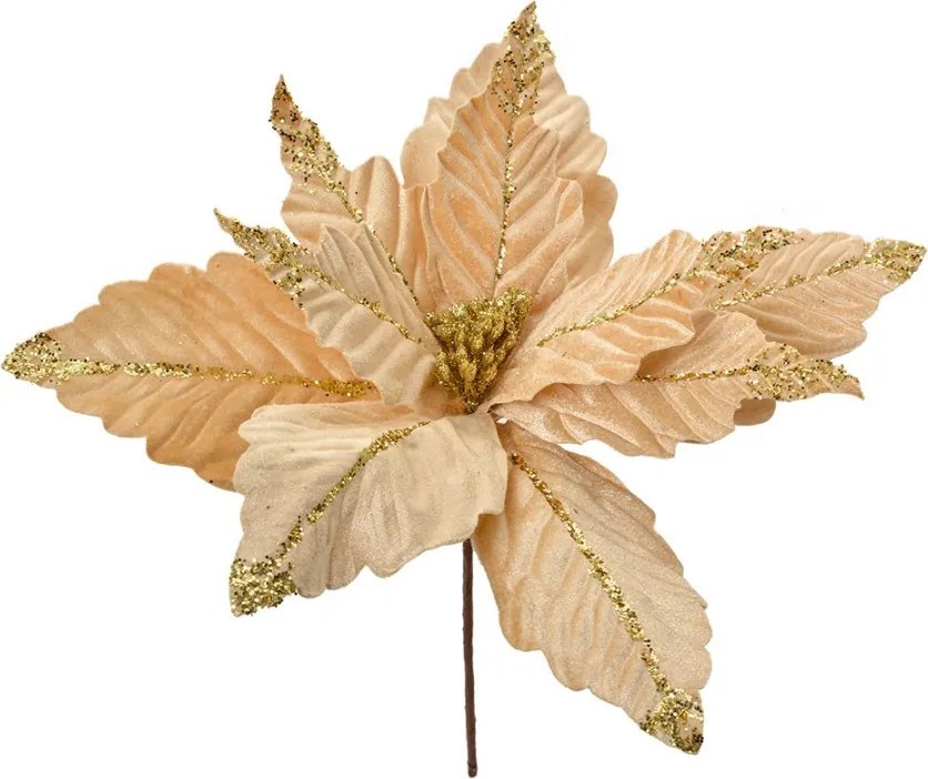 Béžovo-zlatý kvet béžová vianočná hviezda Poinsettia - Ø 36*36 cm