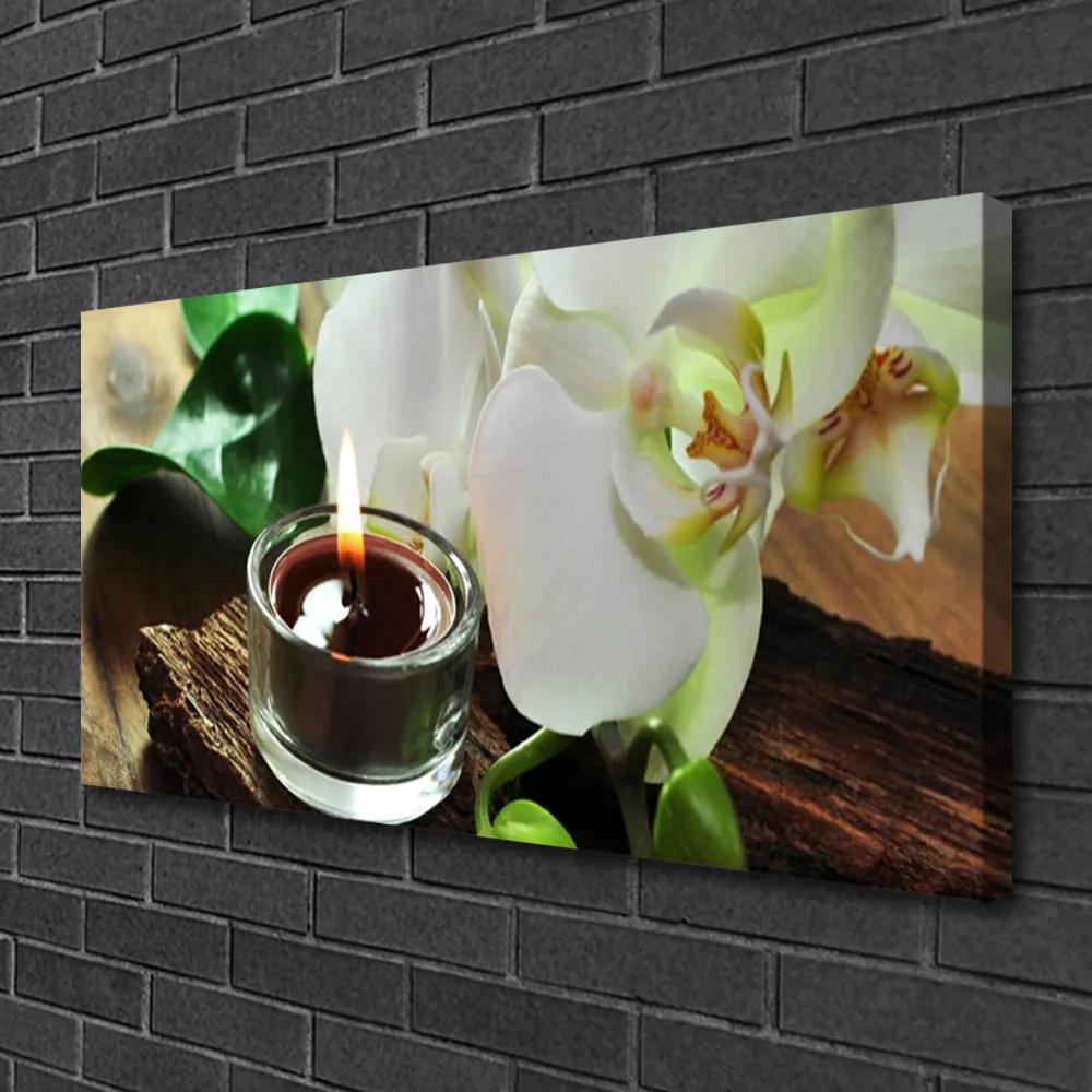 Obraz Canvas Orchidea sviece do kúpeľov 140x70 cm