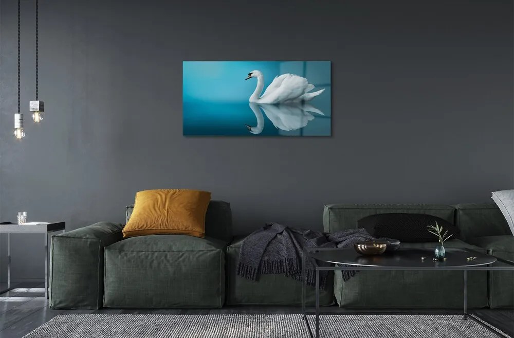 Sklenený obraz Swan vo vode 100x50 cm