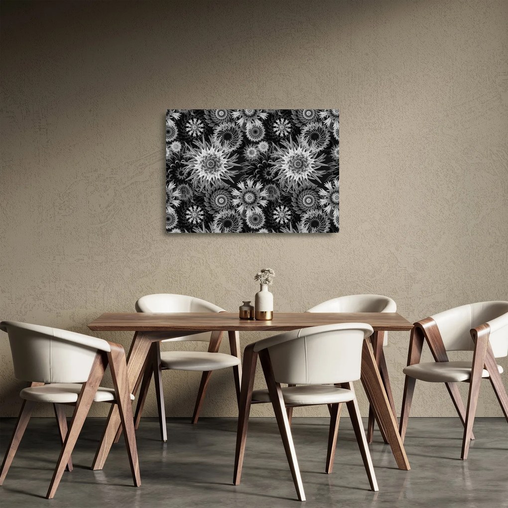 Sklenený obraz - Čiernobiele bodliaky (70x50 cm)