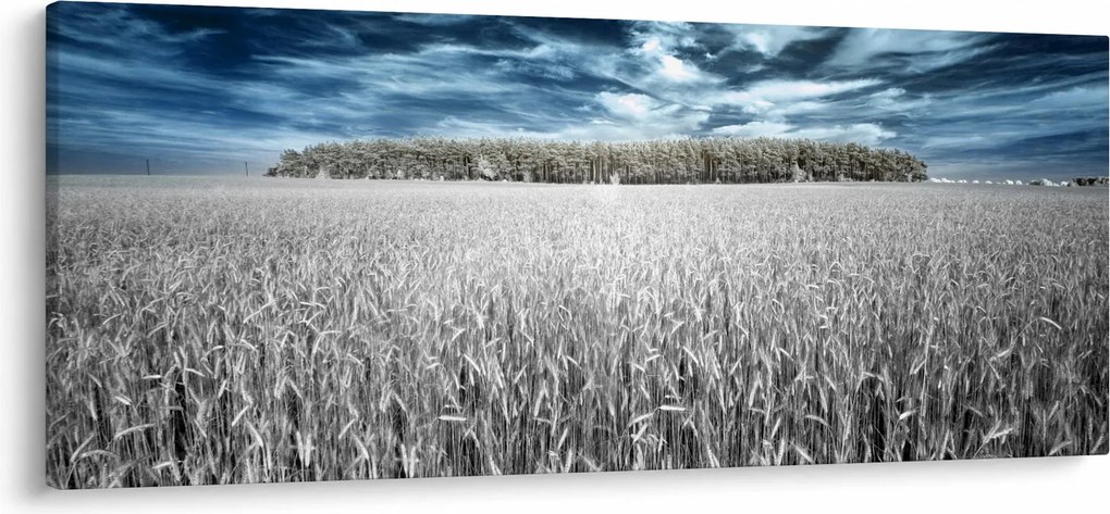 Obraz pole (120x50 cm)