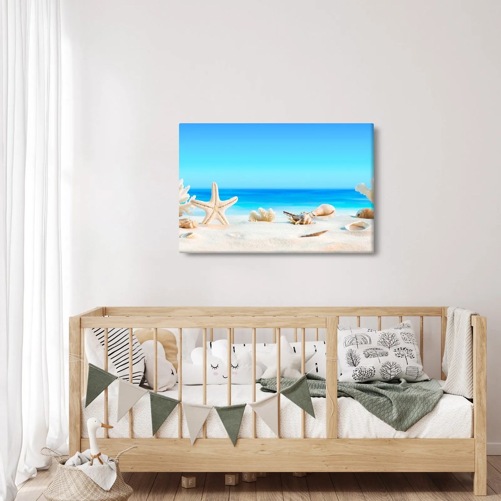 Obraz - Zátišie s mušľami (90x60 cm)