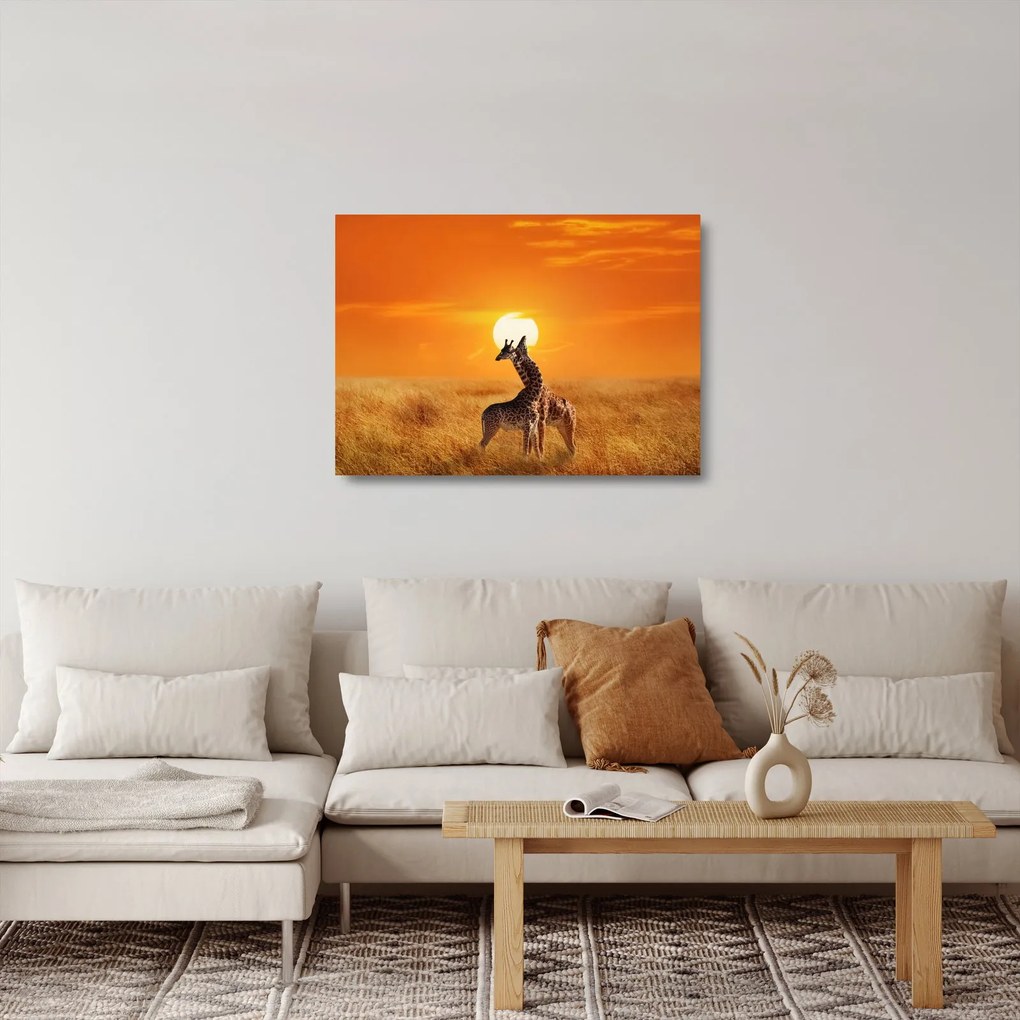 Sklenený obraz - Žirafy v národnom parku Serengeti (70x50 cm)