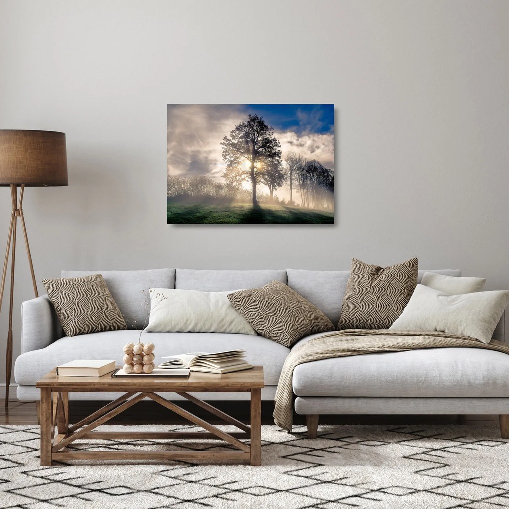 Sklenený obraz stromu v hmle (70x50 cm)