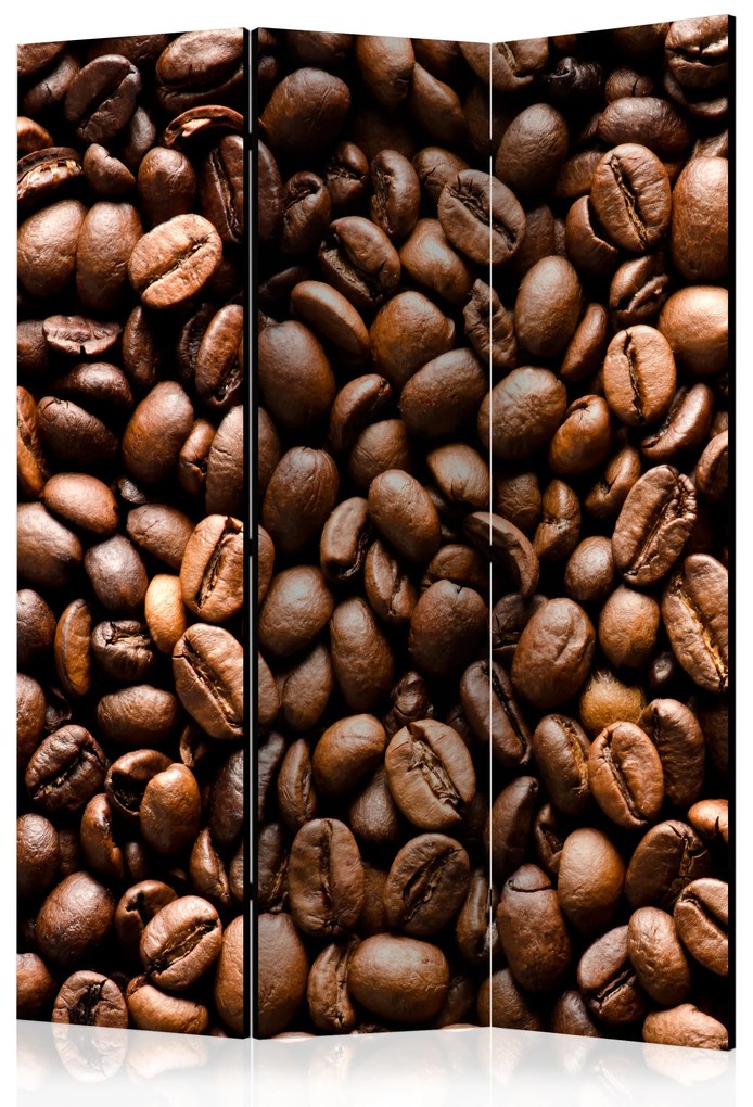 Artgeist Paraván - Roasted coffee beans [Room Dividers]