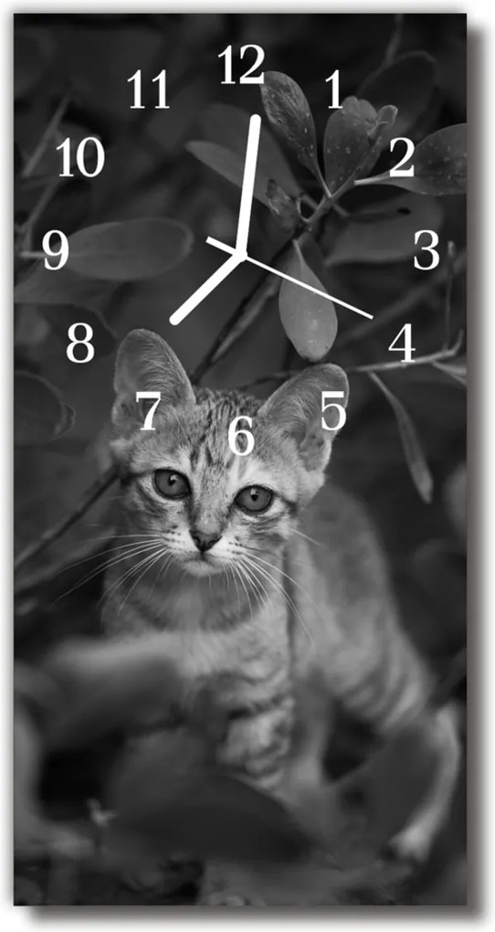 Sklenené hodiny vertikálne  Zvieratá Mačka zvieratá šedá