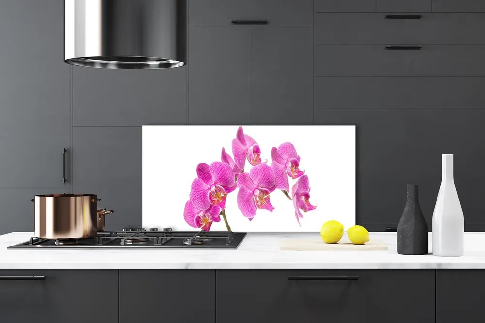Sklenený obklad Do kuchyne Orchidea kvety príroda 125x50 cm