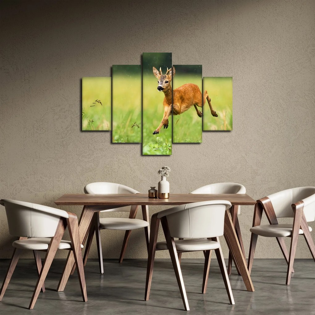 Obraz - Srnček (150x105 cm)