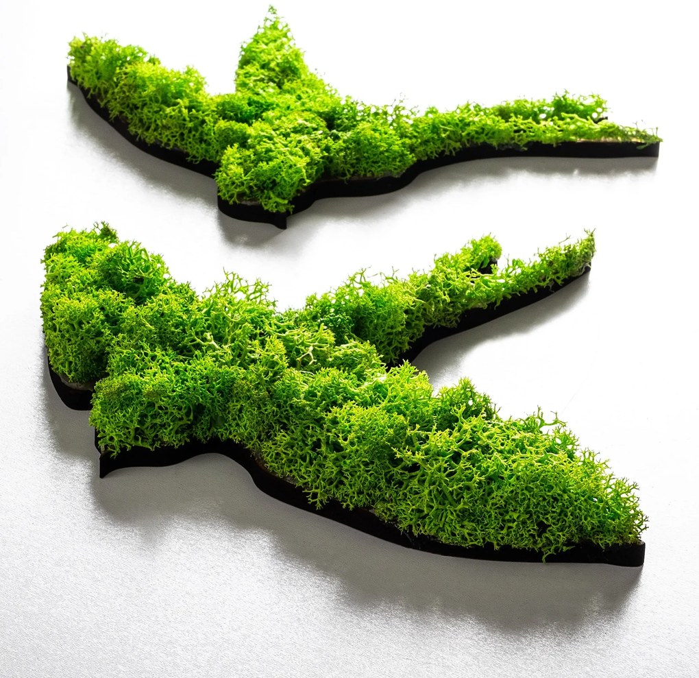 Nástěnná kovová dekorace Swallows zelená