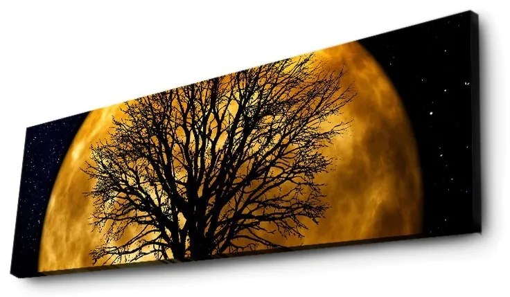 Obraz s led osvetlením Ledda Night 90x30 cm