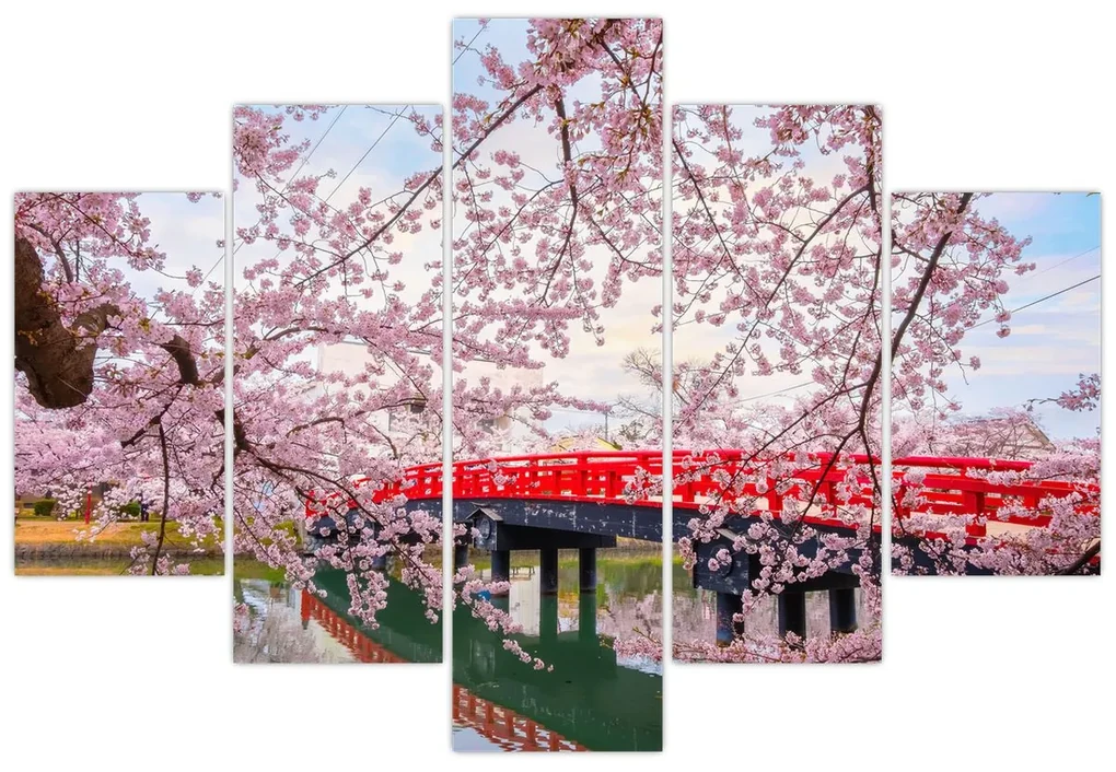 Obraz - Hirosaki, Japonsko (150x105 cm)