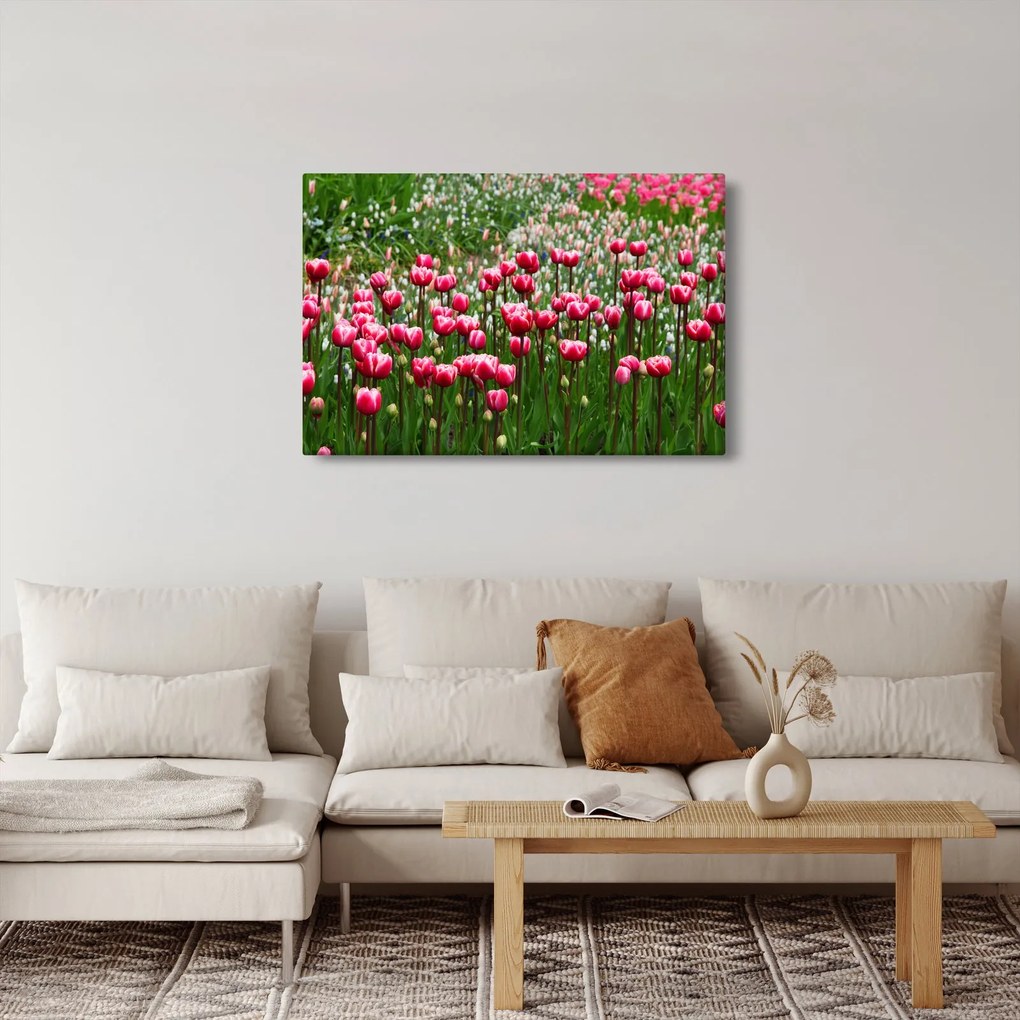 Obraz tulipánov (90x60 cm)
