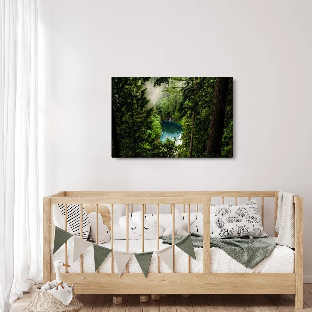 Obraz - Priezor medzi stromami (90x60 cm)
