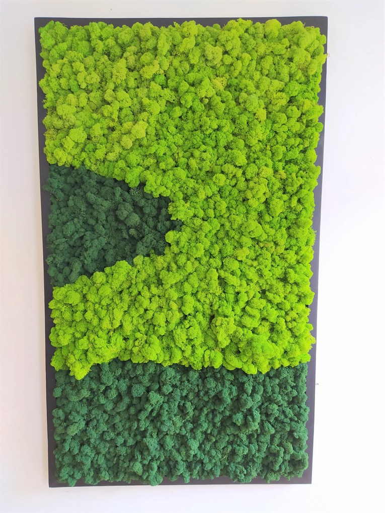Machový obraz v čiernom ráme 135cm x 65cm