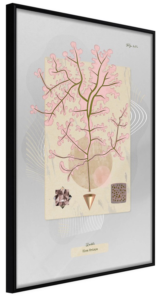 Artgeist Plagát - Mysterious Tree [Poster] Veľkosť: 40x60, Verzia: Čierny rám s passe-partout