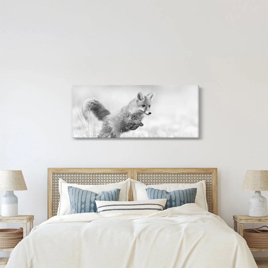 Obraz - Skákajúca líška, čiernobiela (120x50 cm)