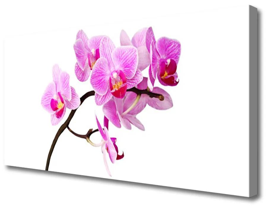 Obraz na plátne Kvety rastlina príroda 140x70cm