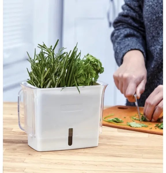 Cole&Mason - Nádoba na uchovanie rezaných byliniek