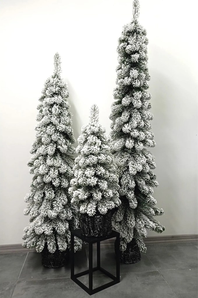 Zasnežený vianočný stromček- Smrek Amélia v kvetináči 80cm
