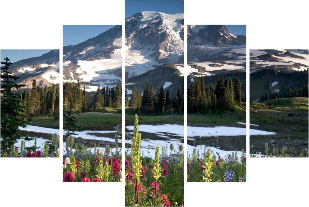Obraz - Mount Rainier (150x105 cm)