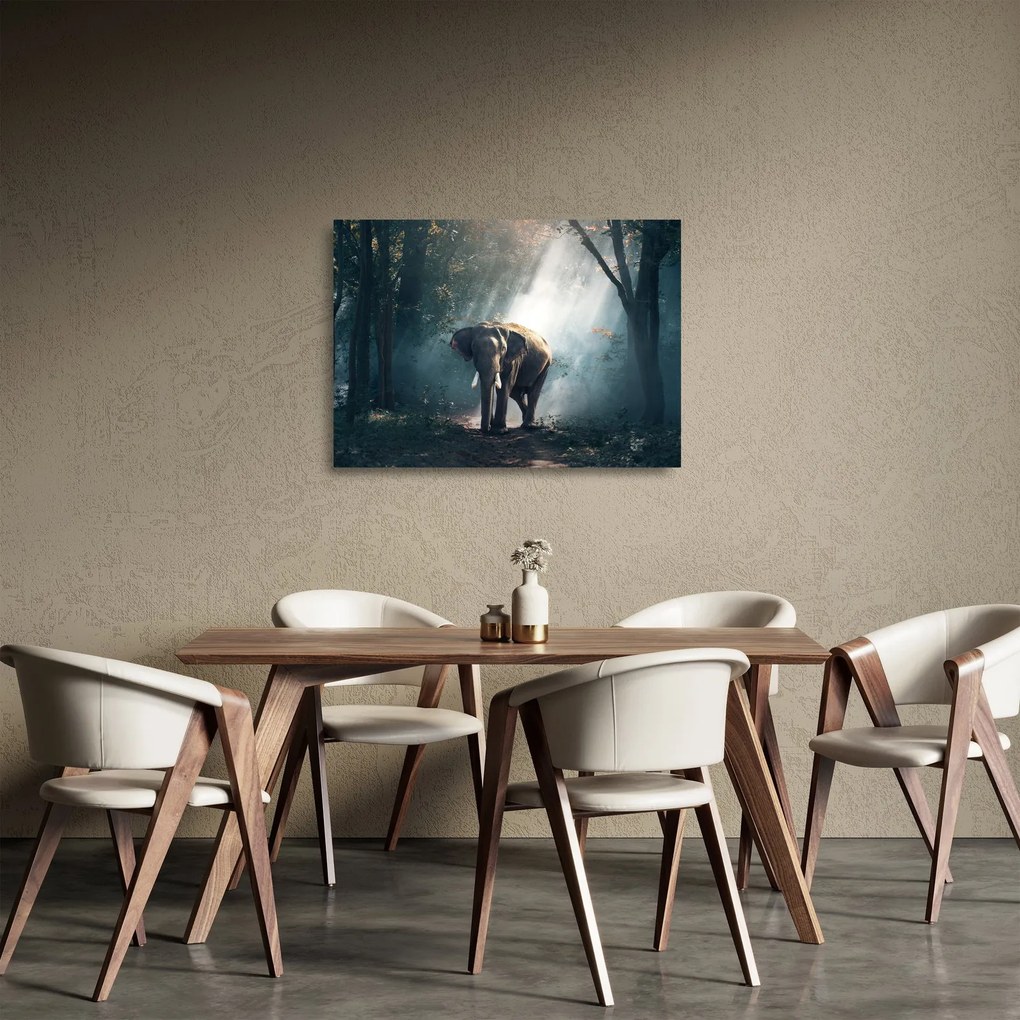 Sklenený obraz slona v džungli (70x50 cm)