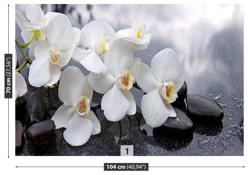 Fototapeta Vliesová Orchidea kamene 250x104 cm