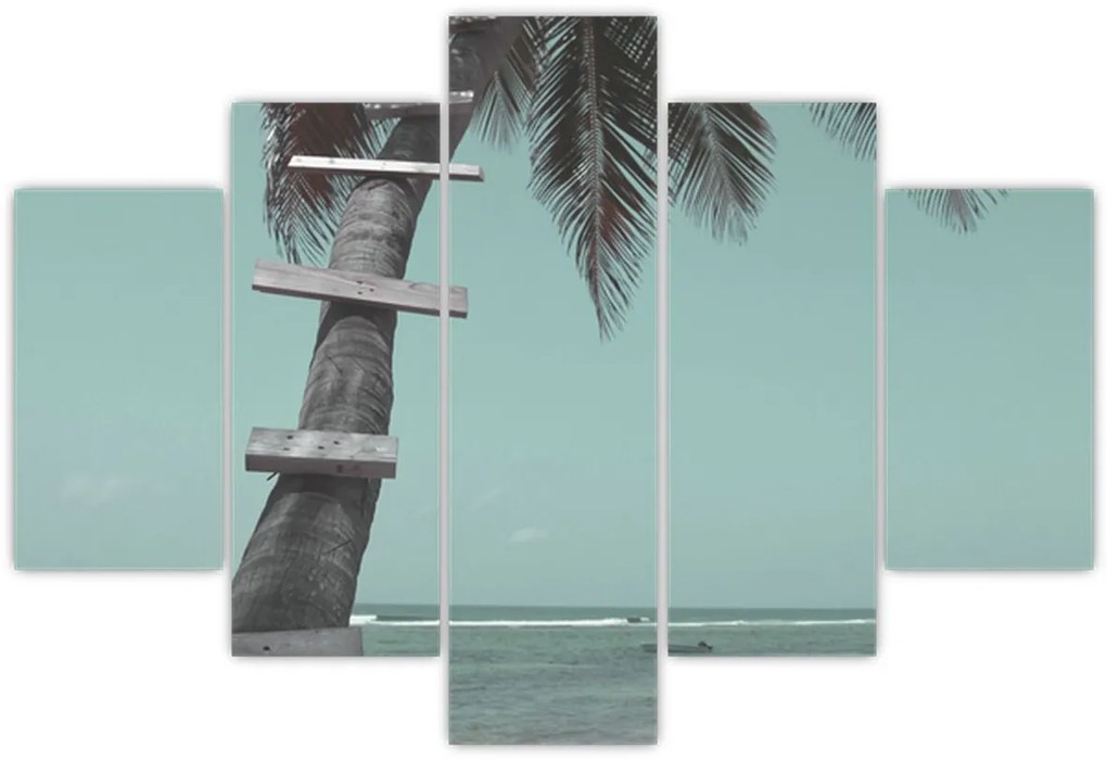 Obraz - Palma v Karibiku (150x105 cm)