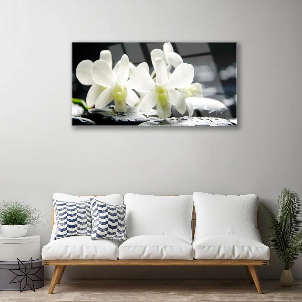 Obraz plexi Kamene kvety orchidea 100x50 cm
