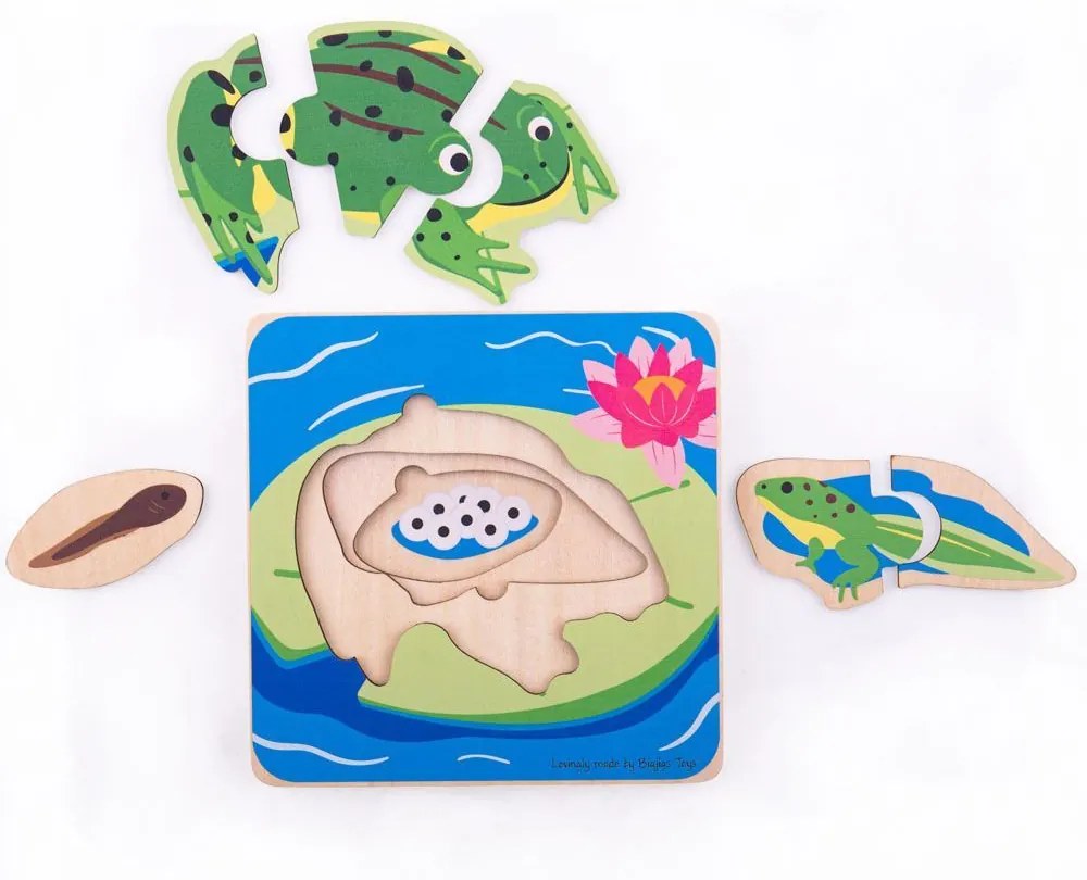 Bigjigs Toys Vkladacie puzzle životné cykly žaby