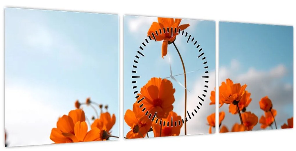 Obraz - Lúčne kvety (s hodinami) (90x30 cm)