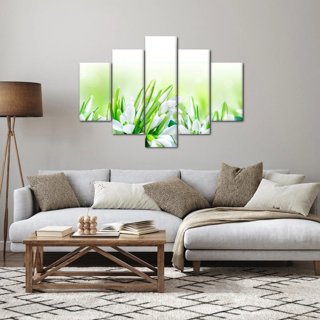 Obraz - Snežienky (150x105 cm)
